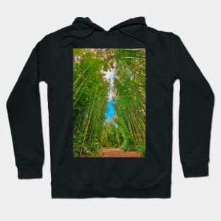 Bamboo Keyhole Forest Hoodie